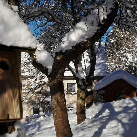Ferienhaus Hirschnest Sankt Pankraz エクステリア 写真