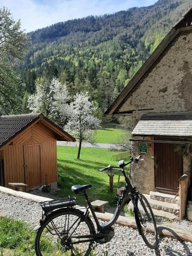 Ferienhaus Hirschnest Sankt Pankraz エクステリア 写真