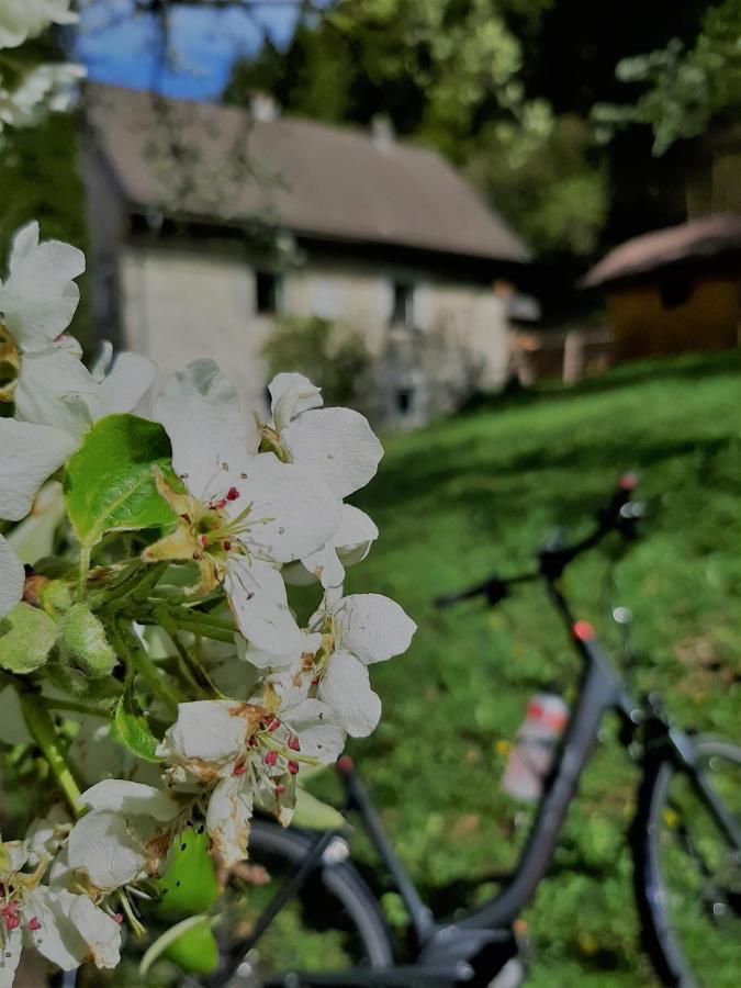 Ferienhaus Hirschnest Sankt Pankraz エクステリア 写真