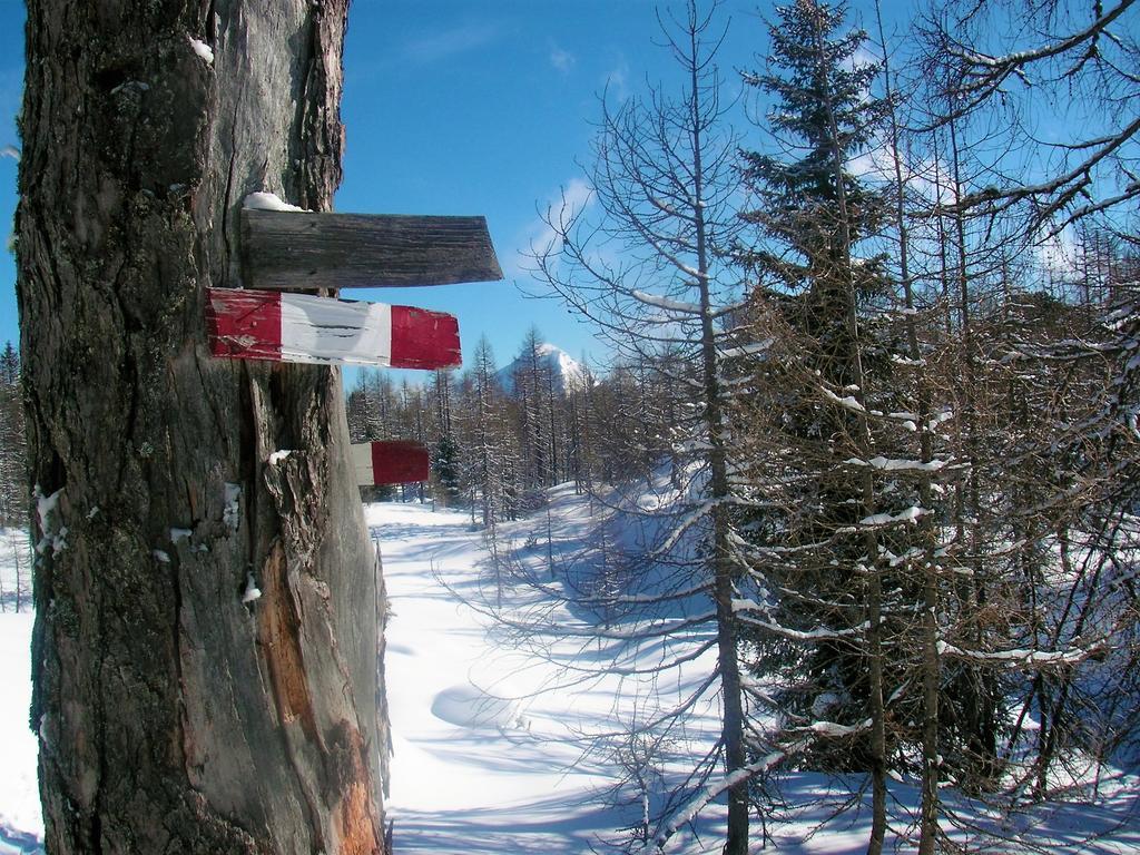 Ferienhaus Hirschnest Sankt Pankraz エクステリア 写真