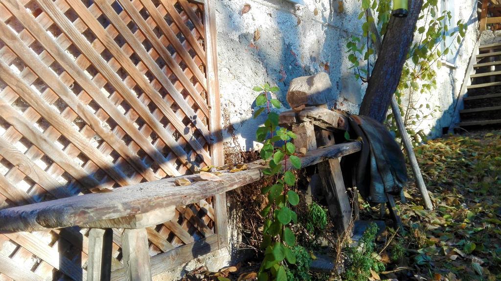 Ferienhaus Hirschnest Sankt Pankraz エクステリア 写真