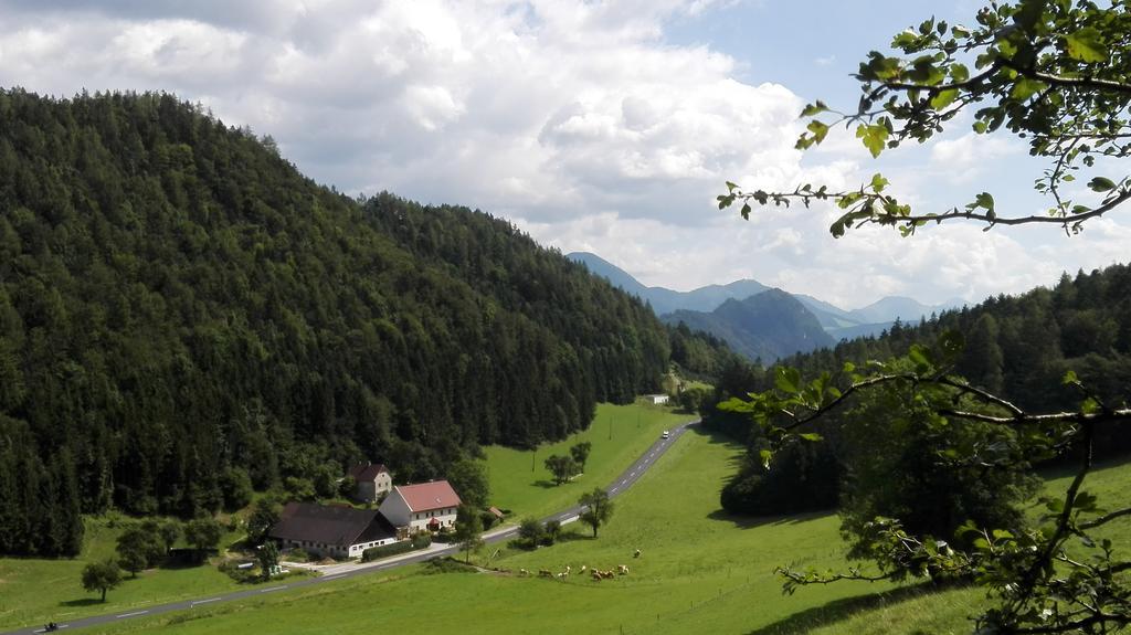 Ferienhaus Hirschnest Sankt Pankraz エクステリア 写真