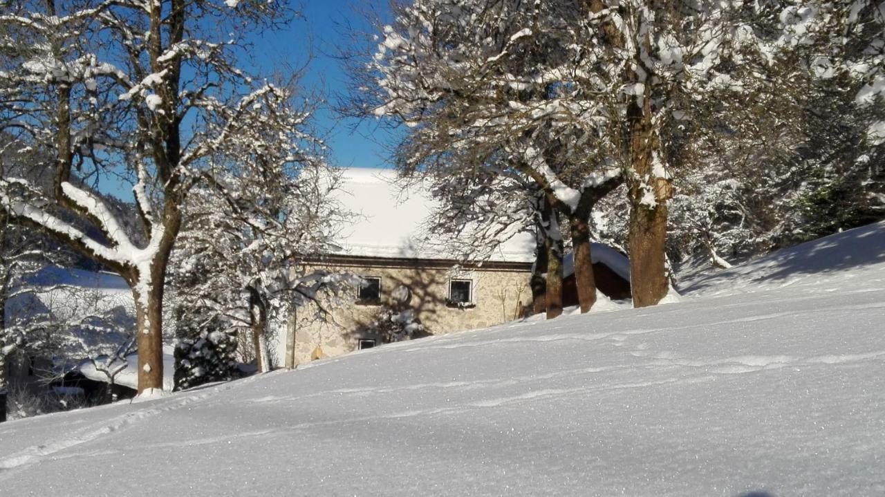 Ferienhaus Hirschnest Sankt Pankraz エクステリア 写真