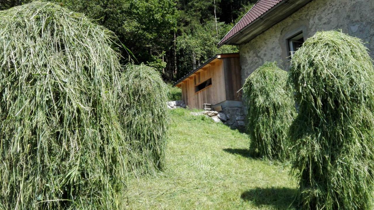 Ferienhaus Hirschnest Sankt Pankraz エクステリア 写真