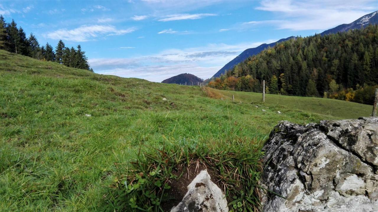 Ferienhaus Hirschnest Sankt Pankraz エクステリア 写真