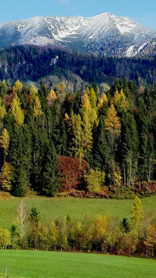 Ferienhaus Hirschnest Sankt Pankraz エクステリア 写真
